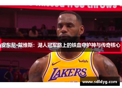 安东尼·戴维斯：湖人冠军路上的铁血守护神与传奇核心