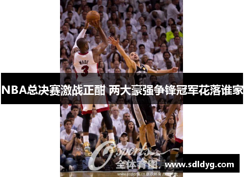 NBA总决赛激战正酣 两大豪强争锋冠军花落谁家