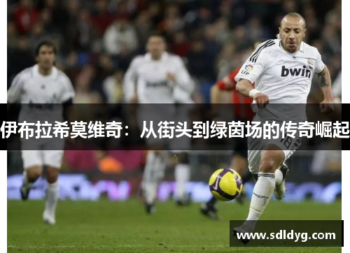 伊布拉希莫维奇：从街头到绿茵场的传奇崛起