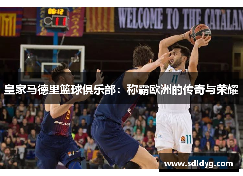 皇家马德里篮球俱乐部：称霸欧洲的传奇与荣耀