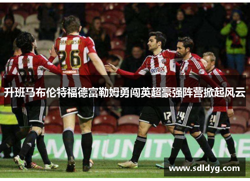 升班马布伦特福德富勒姆勇闯英超豪强阵营掀起风云