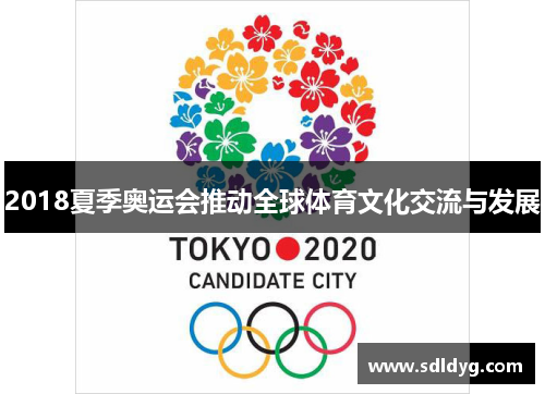 2018夏季奥运会推动全球体育文化交流与发展